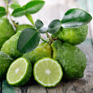 Bergamot | Ingredients | Floral Street