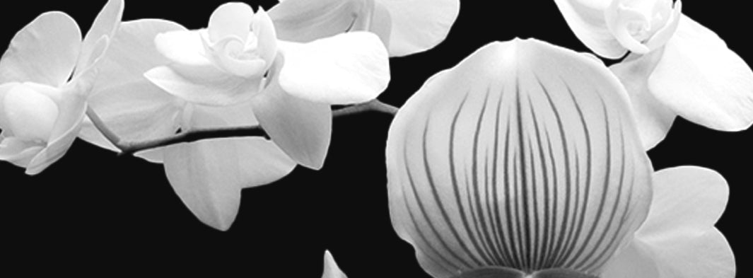 The Aquarius Gift Edit