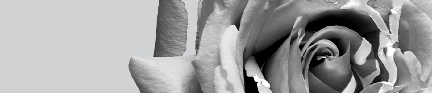 The Gemini Gift Edit