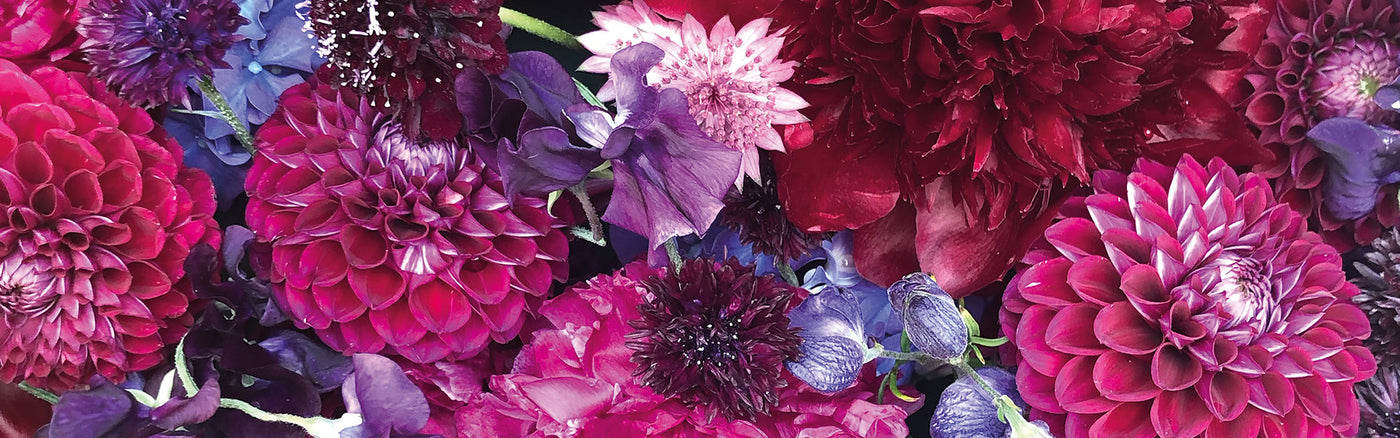 Dark Florals Home Collection