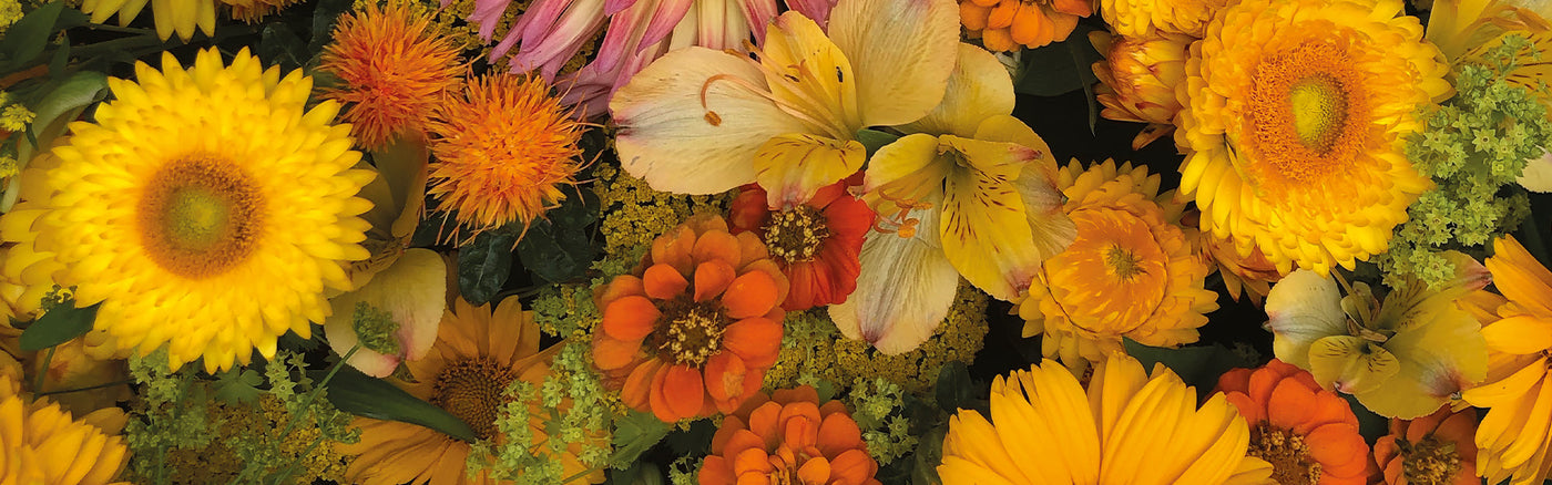 Urban Bloom Home Collection