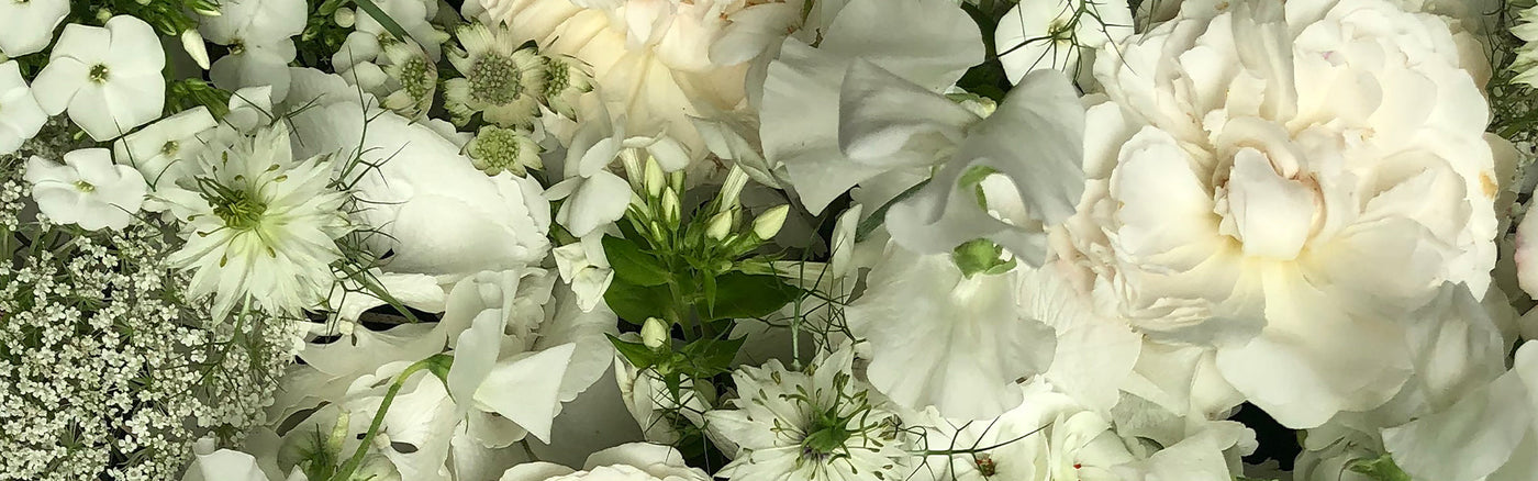 White Florals Home Collection