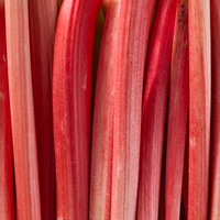 rhubarb | Floral Street Ingredients