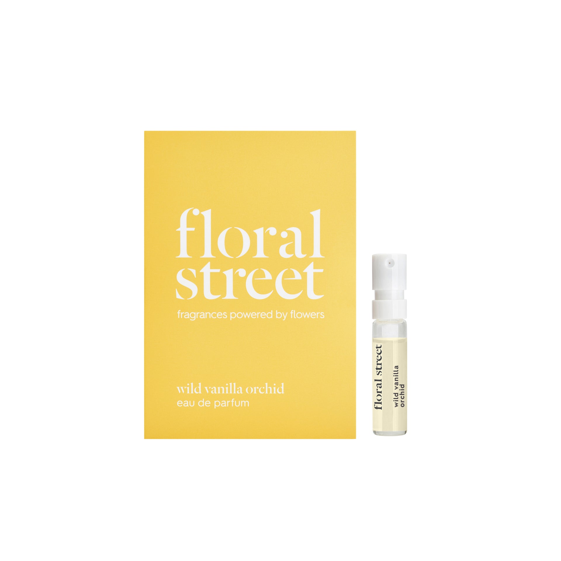 Wild Vanilla Orchid Sample
