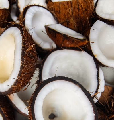 coconut | Floral Street Ingredients