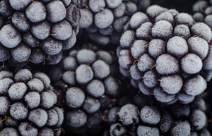 Frosted Berries | Ingredients | Floral Street