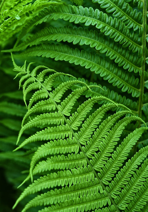 Sustainable from day one