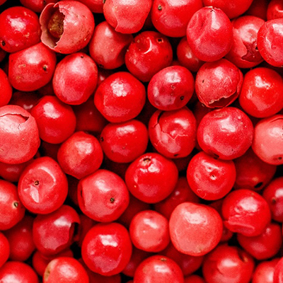 pink pepper | Floral Street Ingredients