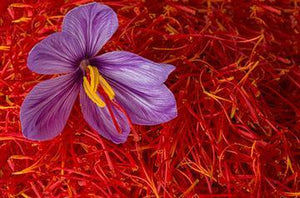 Saffron | Ingredients | Floral Street