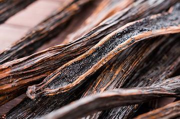 Vanilla Bean | Floral Street Ingredients